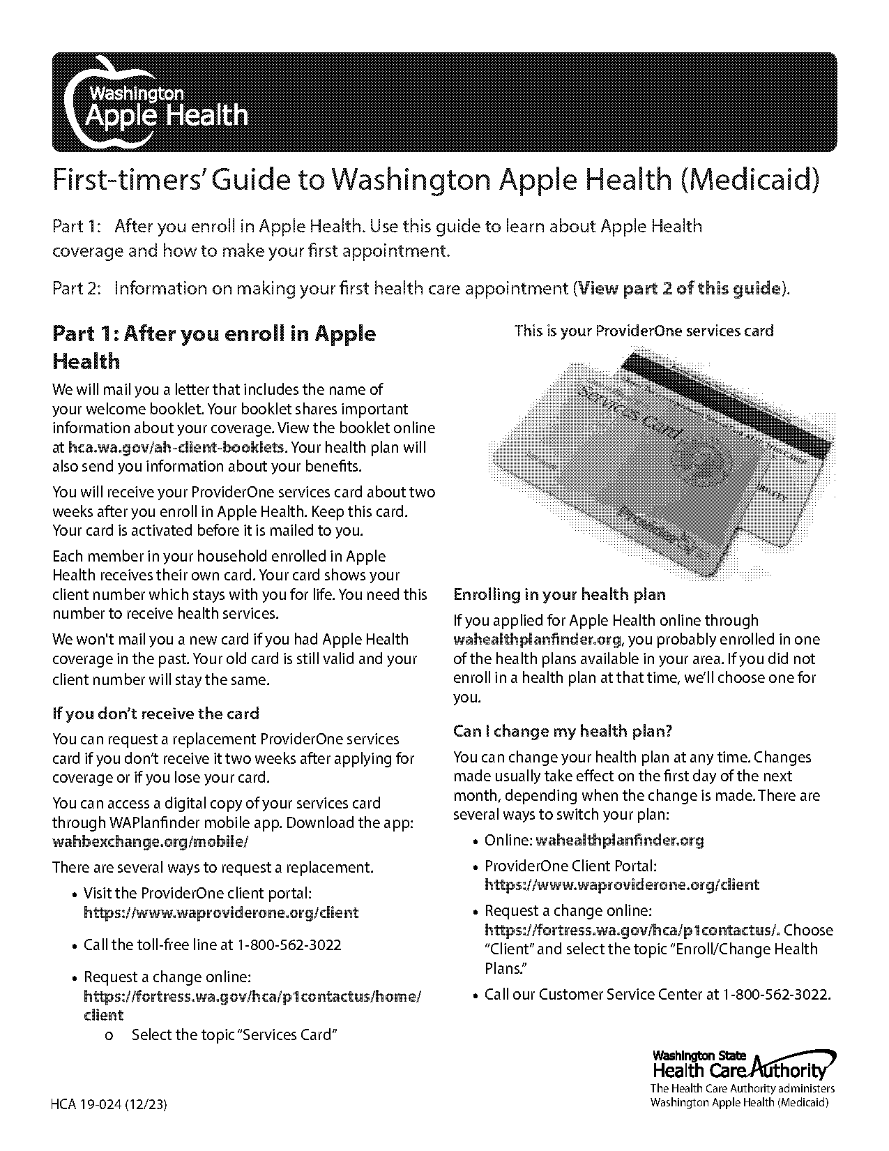 fee for service healthcare plan